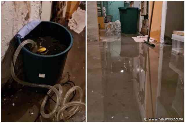 Talloze kelders lopen onder in ‘vernieuwde’ Sint-Pieterskerklaan: “Grondwater kan geen kant meer uit”