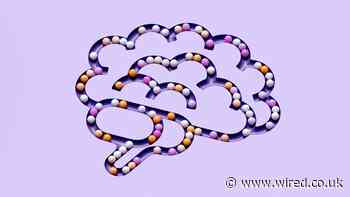 Here’s Everything You Can Do With Copilot, the Generative AI Assistant on Windows 11