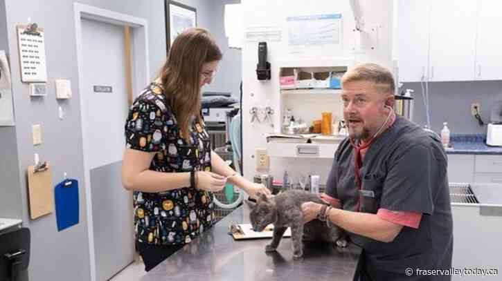 Many veterinarians in Canada are facing extreme burnout and declining mental health