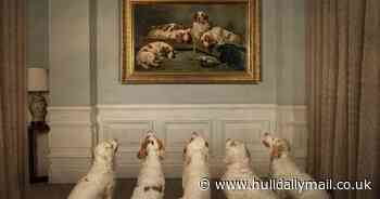 East Yorkshire photographer’s stunning spaniel images star in prestigious Mayfair exhibition