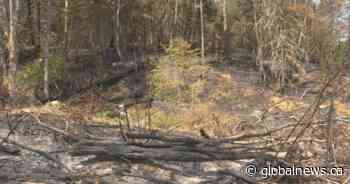 N.B. forest fire seasons wraps with 200 fires and more than 850 hectares burned