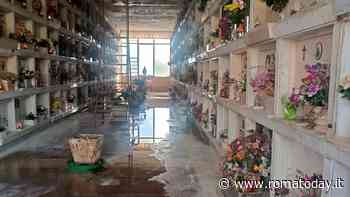 Prima Porta, al cimitero Flaminio scende acqua mista a guano