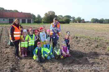 Stemwede-Westrup: Kita-Kinder haben Spaß bei der Kartoffelernte