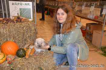 Borgentreich-Bühne: Preisrichter bewerten 267 Kaninchen