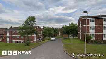 Two seriously hurt in suspected American bully XL attack