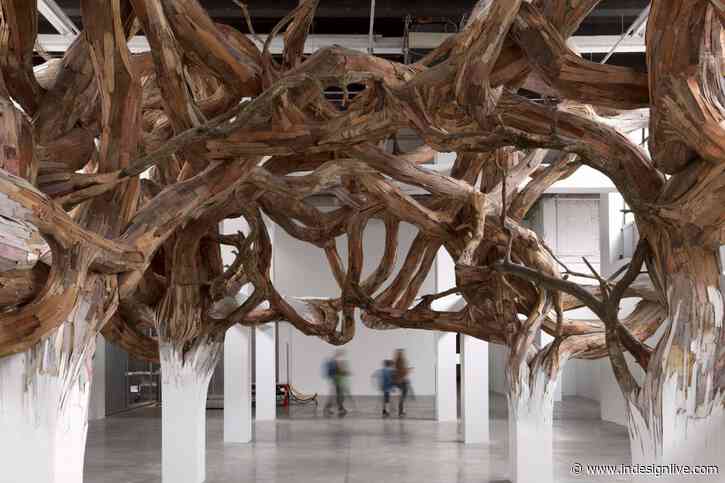 Enchantment, thresholds and transformations at QAGOMA