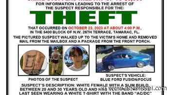 Video shows woman porch pirate caught on camera