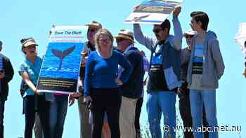 Mayor vows to be 'first one to lie in front of a bulldozer' to prevent marina project