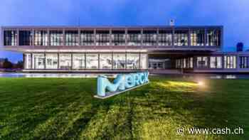 Chemiesparte von deutscher Merck bekommt Sparprogramm