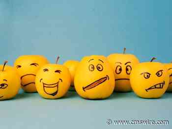 Using Sentiment Analysis and Voice of Customer Data for Insight-Driven CX