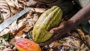 The World’s Broken Food System Costs $12.7 Trillion a Year