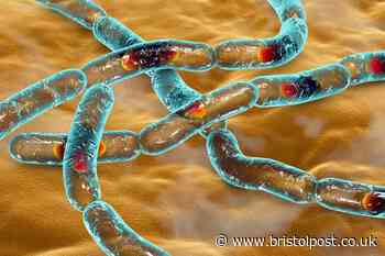 Travellers given warning as serious outbreak of lethal anthrax reported