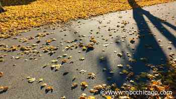 Chicago weather forecast: Mild and breezy, with high temperatures near 70