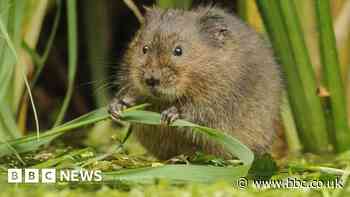 Environment: Wales-England Marches plan to protect nature