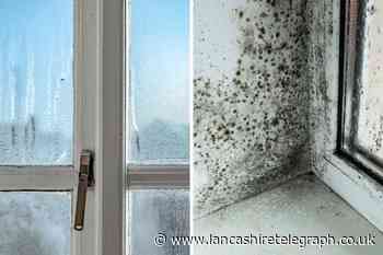 How to reduce window condensation and mould growth