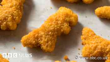 Tyson Foods recalls US nuggets after metal pieces found