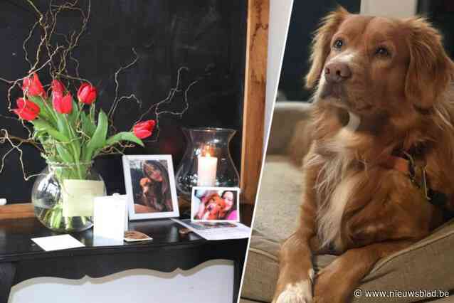 Buurman krijgt effectieve straf na dodelijke steek aan hond Ozkar: “Een enorme opluchting, al wonen we wel nog naast dader”