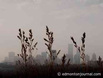 Edmonton weather: Patches of 'dense fog' with near-zero visibility