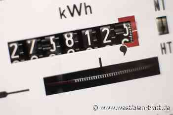 So will die Gemeinde Hövelhof ihre Energiekosten senken