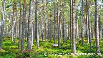 Privatwälder in Wildberg: Landratsamt will Eigentümer unterstützen