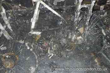 Walthamstow bike shed fire after e-bike battery failure