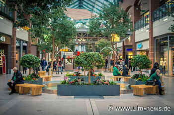 Wie stationäre Geschäfte im digitalen Zeitalter die nötige Aufmerksam erhalten