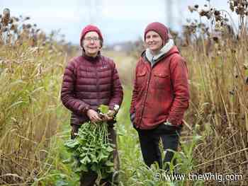 Wolfe Island farm featured in National Farmers Union campaign