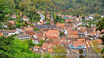 Orts-Check Kreis Calw: Große Kreisstadt landet im Mittelfeld