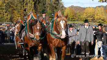 „Leonhardi lebt!“: Bad Tölz begeht Bilderbuch-Wallfahrt