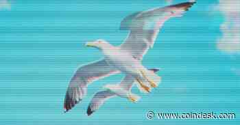 Sam Bankman-Fried Will Not Be Crypto’s Albatross