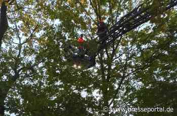 FW-OB: Feuerwehr rettet Katze aus Baum