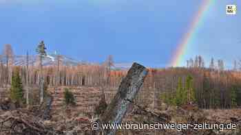 Sturm: So leidet der Tourismus im Harz unter Unwettern
