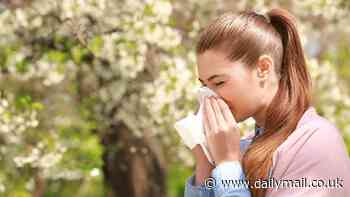 Vibrating headband could offer a drug-free way to unblock a chronic stuffy nose, research finds