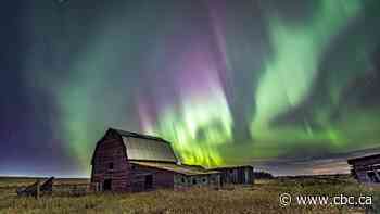 PHOTOS | Stunning scenes of the northern lights