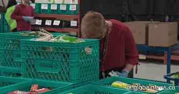 Food banks, other groups get $10M from province to increase access in Alberta