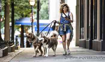 ‘I have made an extra £400 in four months thanks to my dog-sitting side hustle!’