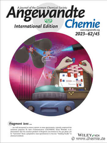 Geladene „Molekül-Bestien“ als Basis für neue Bindungen