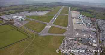 Flights at Bristol Airport suspended by technical fault