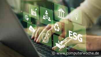 Führungskräfte finden ESG-Faktoren wichtig, aber:: Nur wenige Chefs interessieren sich für Nachhaltigkeit