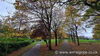 Work begins to restore lake in West Kirby park