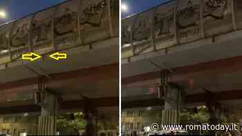 Come un gatto in tangenziale: così un micio sospeso nel vuoto è stato salvato a San Lorenzo