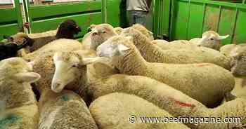 This Week in Agribusiness, October 28, 2023