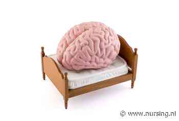 Omgaan met werkstress: rennen, vliegen, rust nemen