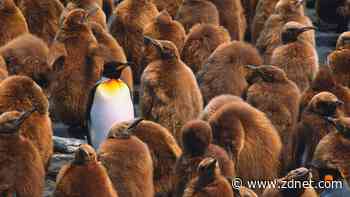 How to customize the Linux bash prompt (and why you should)