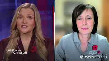 How the poppy has evolved over time