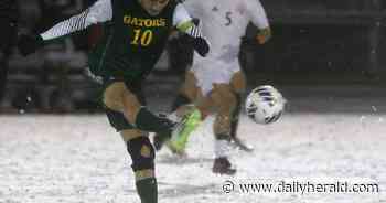 Boys soccer: Crystal Lake South's Getzinger named Fox All-Area Captain