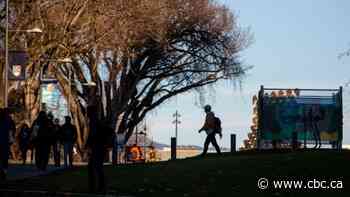 There is big money attached to university endowments. But how do they work?