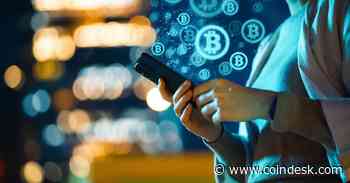 Sol, Memes, BTC: Digital Assets That Currently Outperform the Market