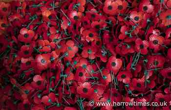 Remembrance Day: Why do we wear poppies and what they mark