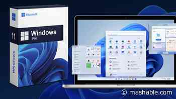 Give the gift of a revamped PC with a Microsoft Windows 11 Pro license for only $25